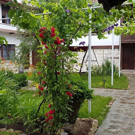 Starata Bulgaria Kiulevča